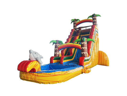 Slide Hawaï dolfijn