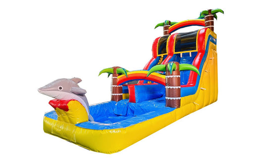 Slide dolfijn Hawaï